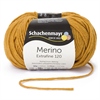 SCHACHENMAYR OTOÑO-INVIERNO